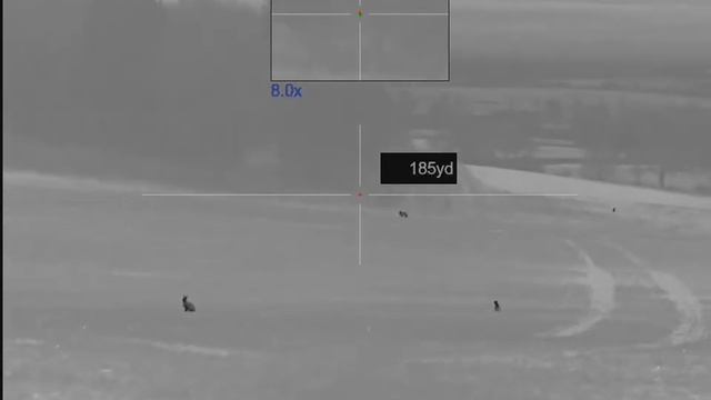Pulsar Thermion XL50 fox at 190 yards. смотреть онлайн