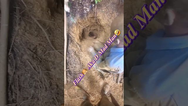 Biggest Lappe Ever Caught In Trinidad🤯 смотреть онлайн