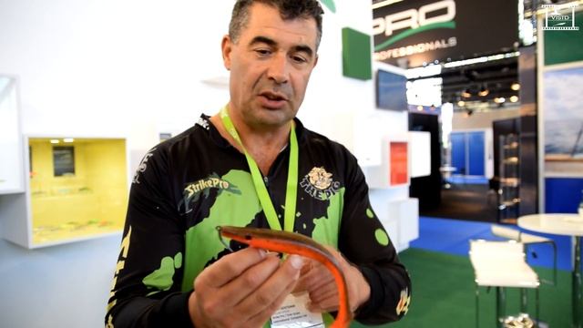 VisTD - EFTTEX 2016 - Strike Pro смотреть онлайн