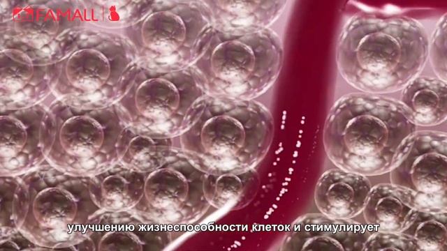 Suting Гигиенические прокладки - презентация продукции и эксперимент смотреть онлайн