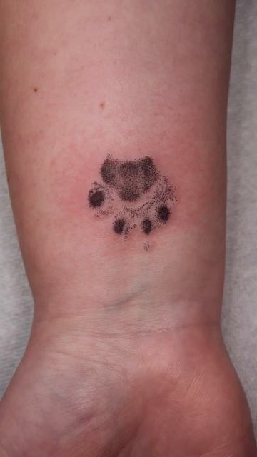 Purr-fect Paw Print🐾 #cat #catlover #realismtattoo #pettattoo #microtattoo #microrealism #shorts смотреть онлайн