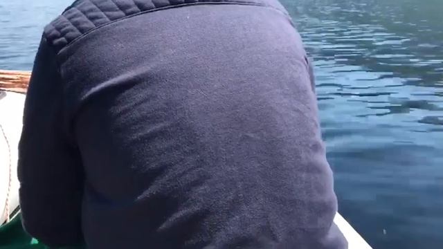 Св 390 на телецком. смотреть онлайн