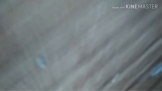 Ложим монеты под поезд #1
