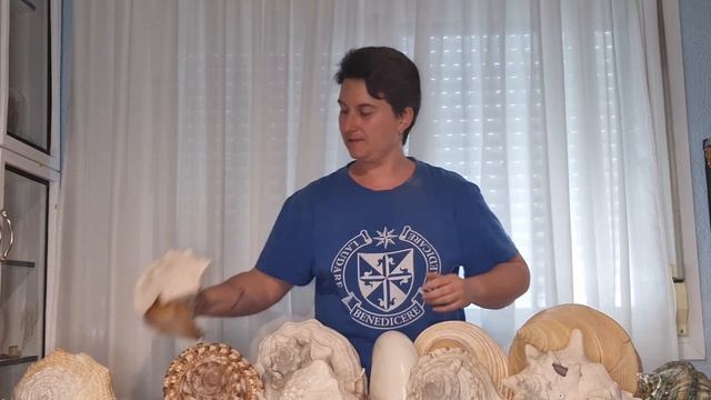 Caracolas gigantes!! смотреть онлайн