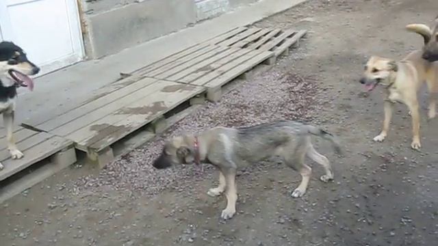 MVI 5136 смотреть онлайн