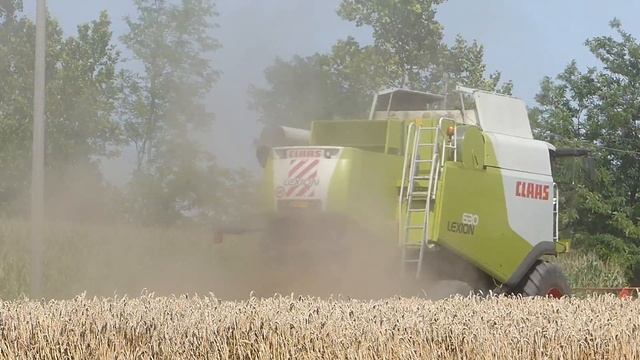 Agromeccanica Botti | Claas Lexion 630 смотреть онлайн