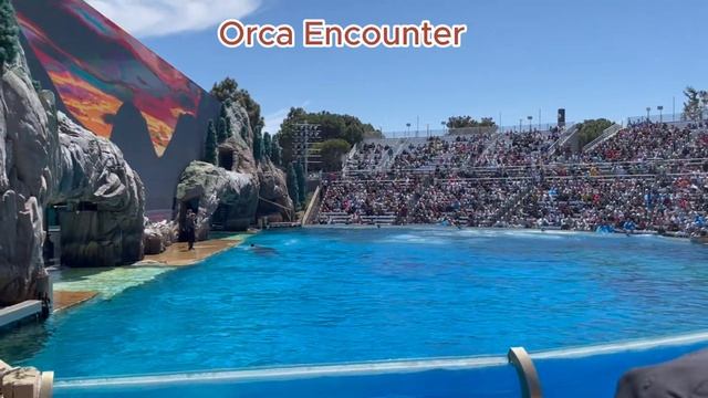 Overview of SeaWorld San Diego & The most special performances of Orca, Dolphin and Sea Lion shows. смотреть онлайн