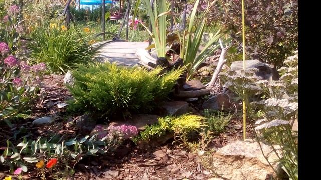 Мой сад_ АРХИВ смотреть онлайн