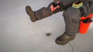 Поклёвки крупным планом. Безмотылка. Снасть догонялка. Закрытие зимы 2024.