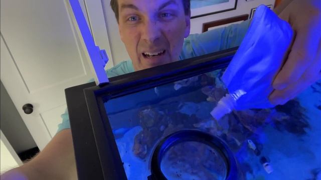 HOW TO FEED Your Saltwater Fish - Saturday Morning Quick Tip смотреть онлайн