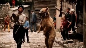 Goran Bregovic - Gypsy Reggae - (Audio 1993)