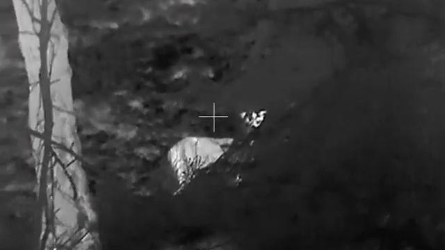 Hikmicro Thunder TH35 - daňela s dančetem na 5 m смотреть онлайн