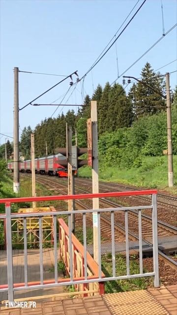 ЭД4М и ЭД2Т (тизер) скоро фулл на канале) #ржд #железнаядорога #ярославль #семхоз #эд4м #эд2т смотреть онлайн