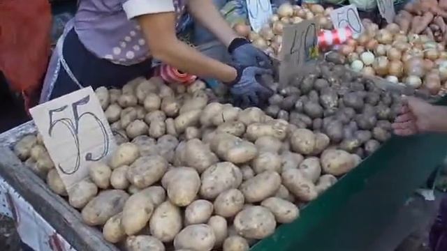 Копия видео Тараз(Джамбул) Видеопанорамы и обзор Базарной площади и рынка Шахристан