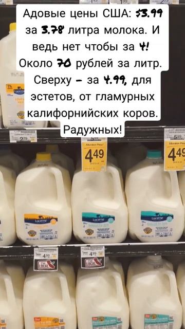 Цена на молоко в США. Магазин Перекресток. Калифорния. Звериный оскал капитализма #shorts смотреть онлайн