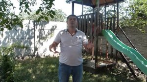 Основное отличие пчел породы карника от бакфаста.