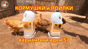 Кормушки и поилки для кур своими руками (57) 🪚✂️ Пошаговая инструкция как сделать 🐔 🐓❣️