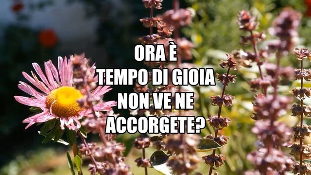 Ora è Tempo di Gioia | Gen Rosso смотреть онлайн