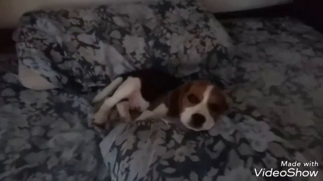 In Fraganti En La Cama Grande.