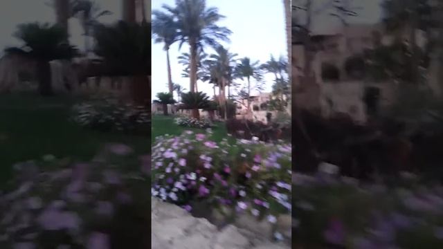 Шарм Ель Шейх,The Grand Hotel Египет. смотреть онлайн