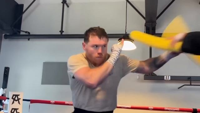 CANELO se ve MUY MAL EN ENTRENAMIENTO Y LE DICE “PENDEJ0" A ¿EDDY REYNOSO? - QUE PASO REALMENTE смотреть онлайн