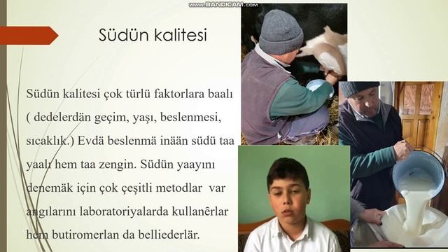 Касап Артем (4-А класс) - тема «Faydalı mı bu iș – inek beslemää?» смотреть онлайн