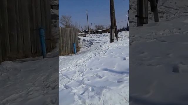 Бескарагай ожидание весны! смотреть онлайн