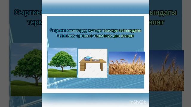 Физика 7-класс Тема:Термелүүлөр.Термелүү кыймылынын негизги мүнөздөмөлөрү смотреть онлайн