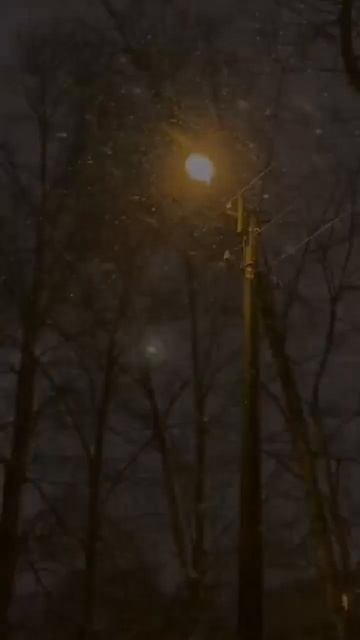 #зима #атмосфера #холод