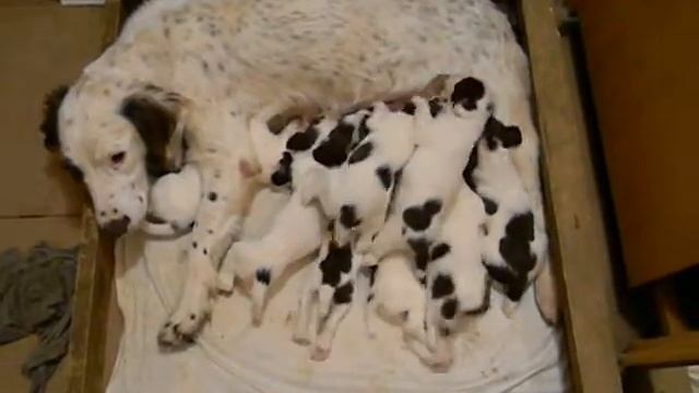 DSCN0009 смотреть онлайн