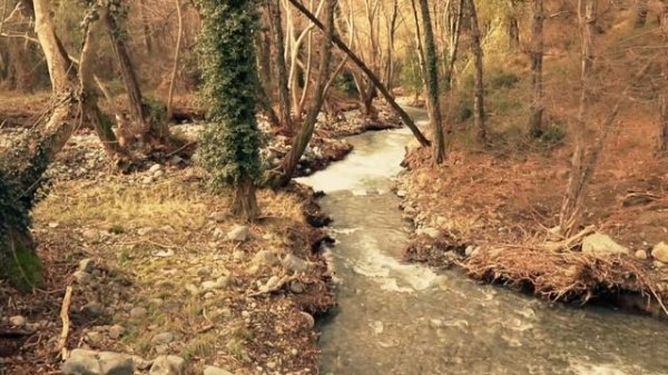 Обращение Симеона Афонского к пустынникам и "монахам в миру": о чем стоит подумать....