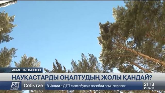 Елімізде жыл сайын 400 мыңнан астам адам операциядан кейінгі оңалтуға мұқтаж смотреть онлайн