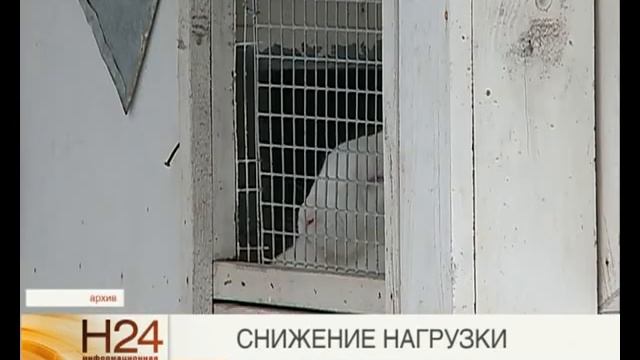 Страховые взносы для малого бизнеса снижены