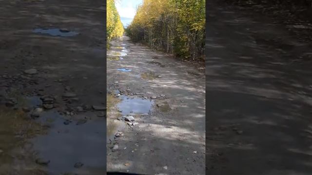 Федеральная трасса Северобайкальск-Таксимо часть 4 смотреть онлайн