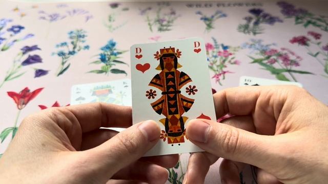 🌝 The full moon cards with Skat Playing Cards from the 70ies смотреть онлайн