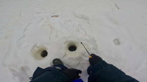 Рыбалка при восточном ветре