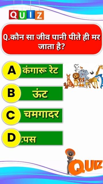 animal gk questions.education shorts video. #shorts #educationvideo #gkhindivideo смотреть онлайн