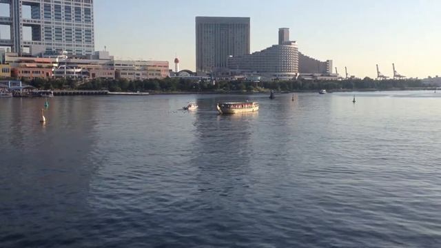 Размышления о 