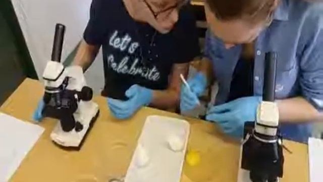 Визитка Фоменко С А смотреть онлайн