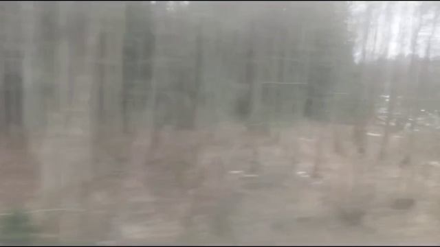 Путишевствие поездом, чем занимаются, Знакомство с городом Брянском, сказочный парк и всё остальное! смотреть онлайн