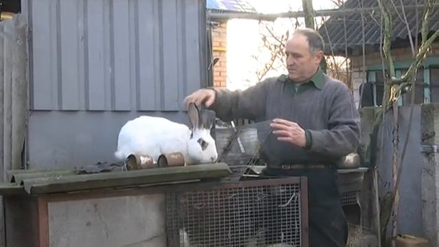 Програма "Agronews" (11.11.2013) смотреть онлайн