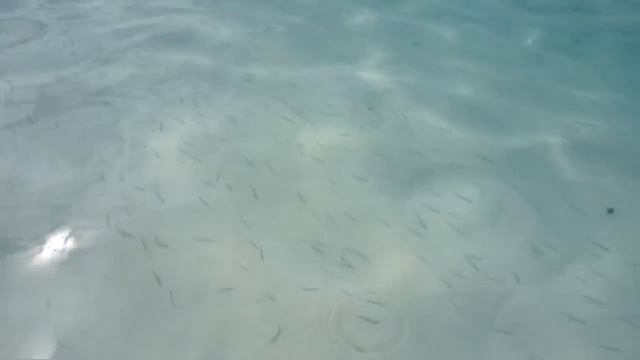 Cayo Largo, Cuba 2015 смотреть онлайн