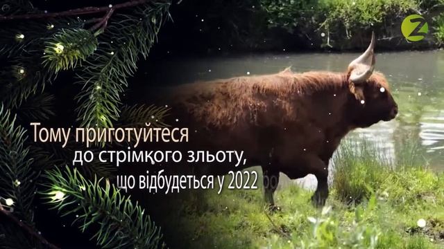 Рік блакитного тигра. Гороскоп на 2022 рік смотреть онлайн