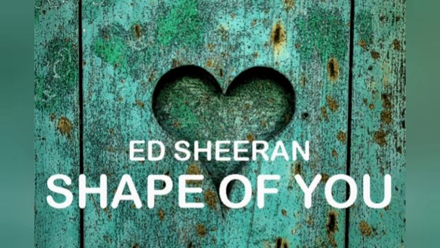 Ed Sheeran SHAPE OF YOU #edsheeran #shapeofyou смотреть онлайн