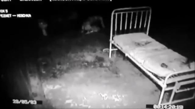 The Russian Sleep Experiment (Classic Creepy Reading) смотреть онлайн