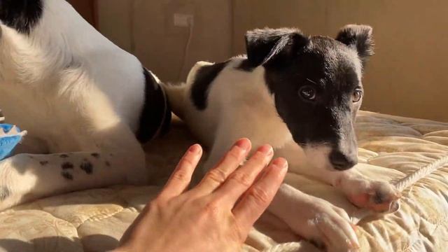 Локи и Сильвия смотреть онлайн
