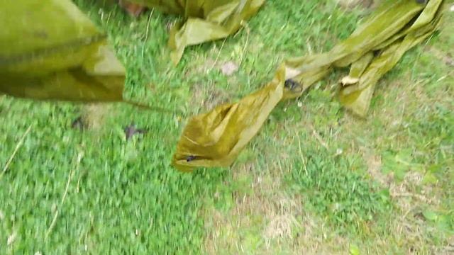 Свиньи с пятаками съели палатку. смотреть онлайн