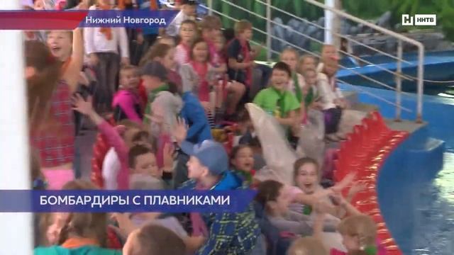 Дельфины футболисты смотреть онлайн