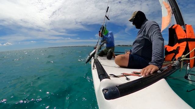 Pêche Au Barracuda à Cuba