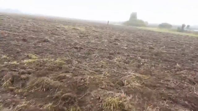 ОСЕННИЙ КОП 2021ГОД ПО РАСПАШКЕ. смотреть онлайн